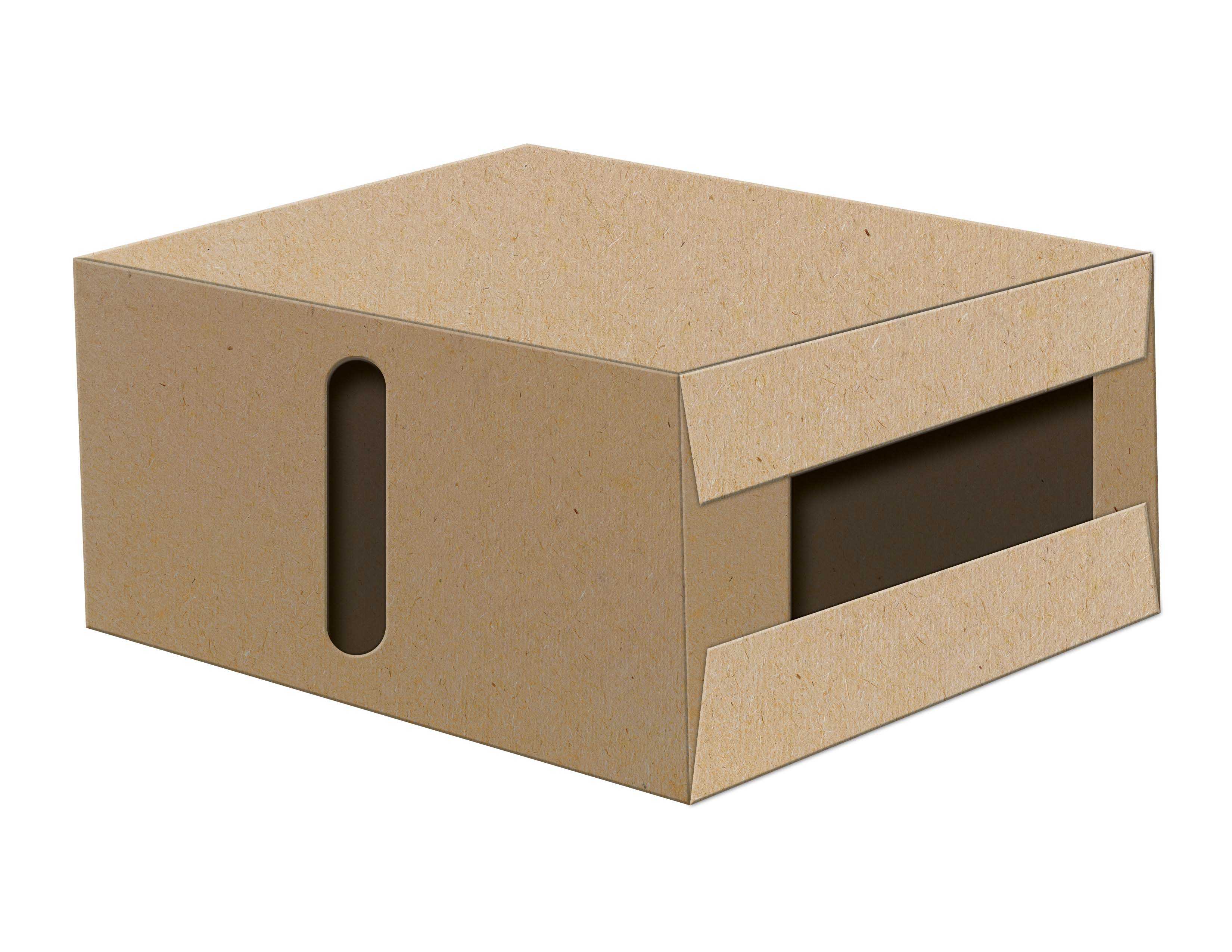 Cardboard box with econo-flap